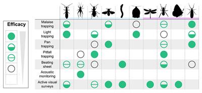 Standards and Best Practices for Monitoring and Benchmarking Insects